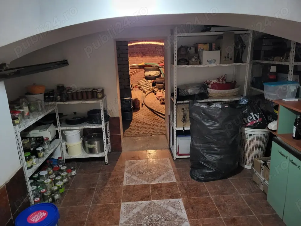 Casa cu 6 camere piscina si pivnita in Turnisor - foto 9