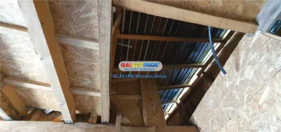 Vanzare casa in curte comuna, Mihai Bravu, Ploiesti - foto 5