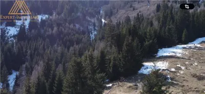 Teren 4.1ha cu izvor pe el debit 5l/sec - foto 6
