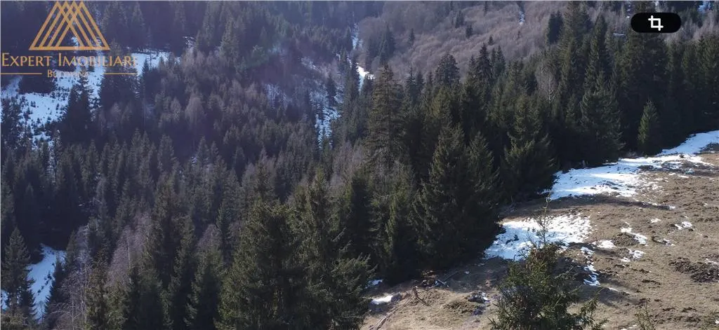 Teren 4.1ha cu izvor pe el debit 5l/sec - foto 6