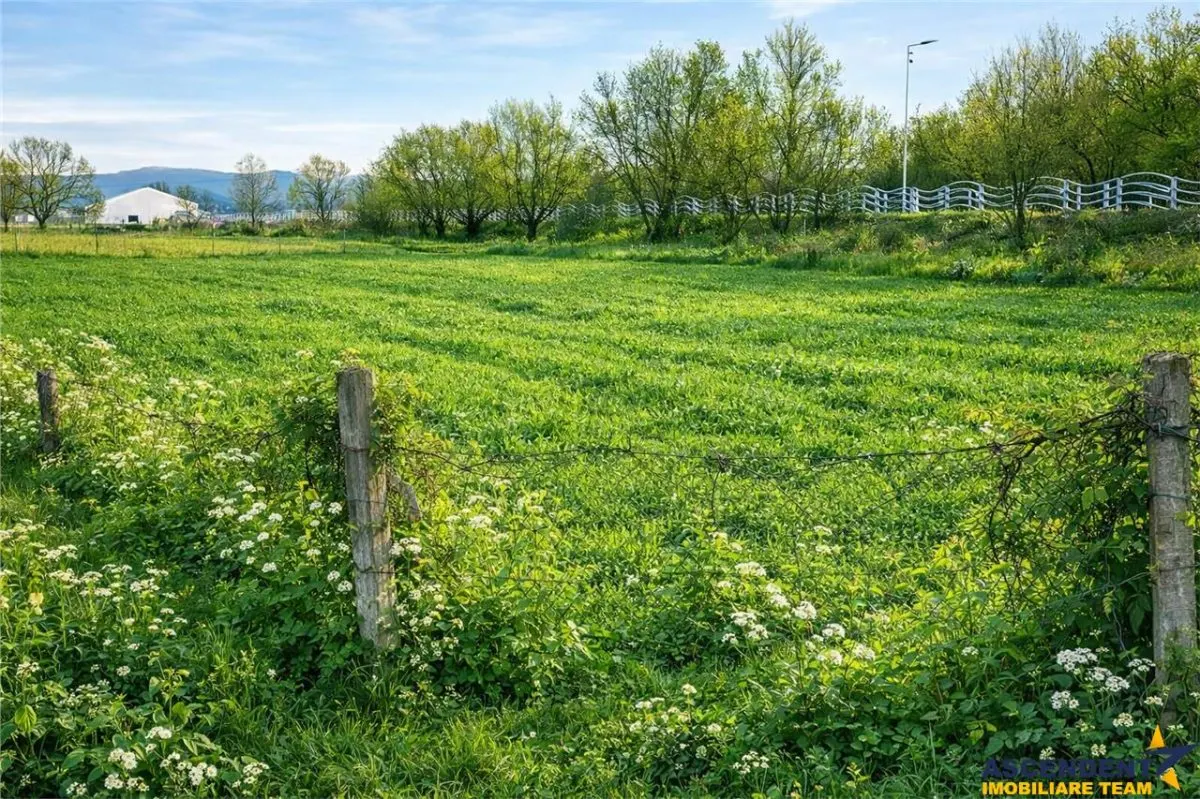 Teren extravilan 1.450 mp, din care curti constructii 312 mp, Sfantu Gheorghe - foto 1