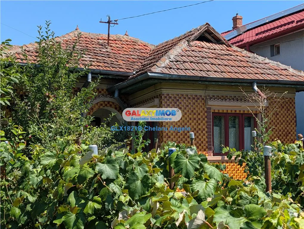 Ilfov,Lipia casa si teren 3000 mp, deschidere 20 ml - foto 13