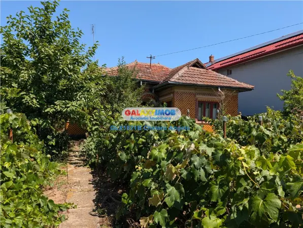 Casă 3 camere Lipia - poza 16