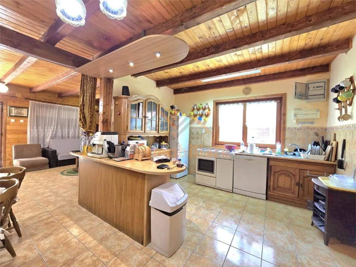 CABANA DE VANZARE | 6 CAMERE | TEREN 1.761 MP | IZLAZ, ARIESENI - foto 5