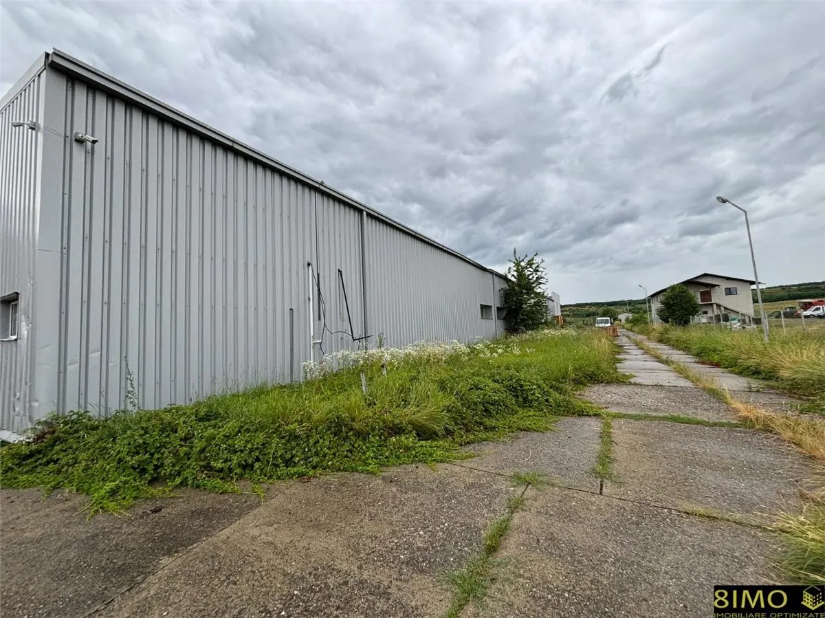 Platforma Industriala functionala - Oniceni, Suceava - E85 14000mp teren, 1300mp hala, 400mp birouri - foto 6