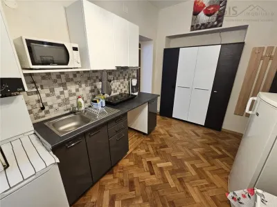 Investitie la cheie in zona centrala! 2 apartamente la casa, transformate in 3 unitati independente cu intrari separate â€“ ideale pentru Airbnb - foto 12