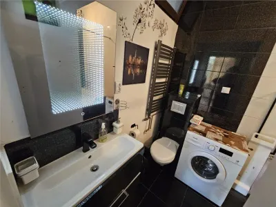 Investitie la cheie in zona centrala! 2 apartamente la casa, transformate in 3 unitati independente cu intrari separate â€“ ideale pentru Airbnb - foto 20