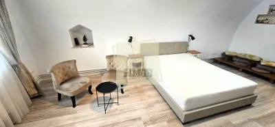 Apartament 80mp divizat in 2 studio-uri | gradina | pivnita | Ultracentral - foto 9