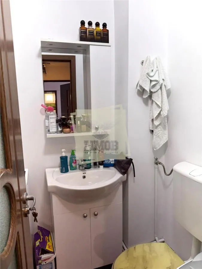 Apartament mobilat 68 mpu 3 camere 2 bai si pivnita in Turnisor - foto 11