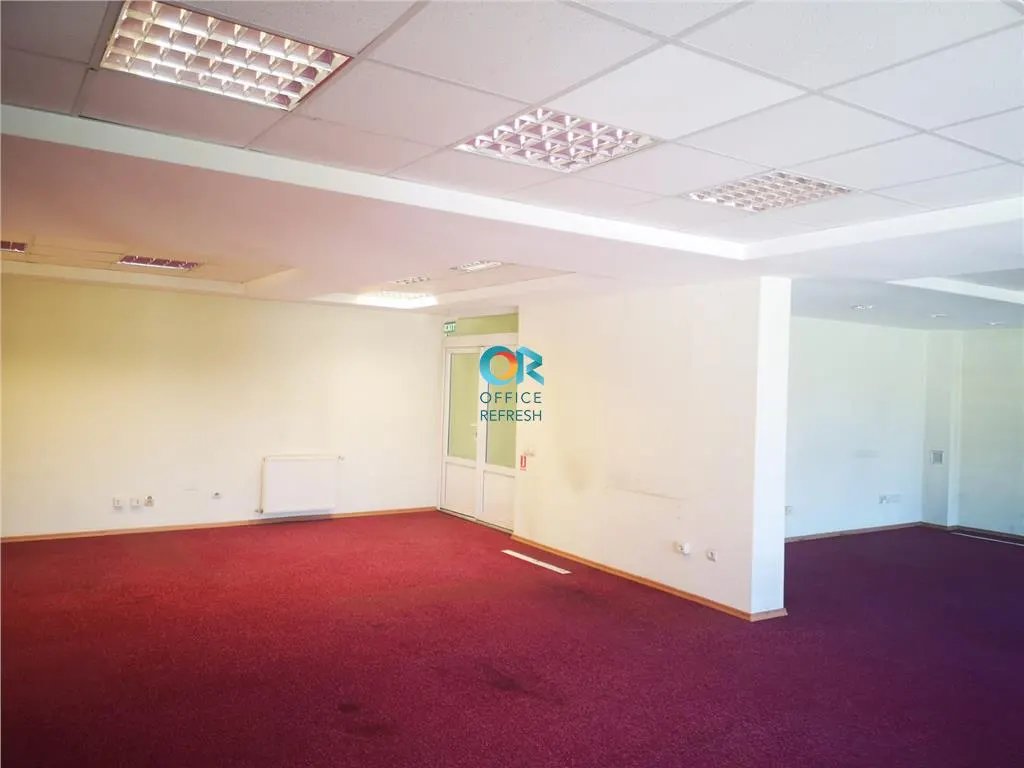 Spatiu de inchiriat  (460 mp) - zona centrala - foto 2