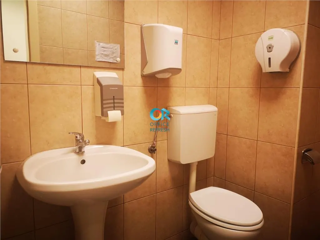 Spatiu de inchiriat  (460 mp) - zona centrala - foto 5