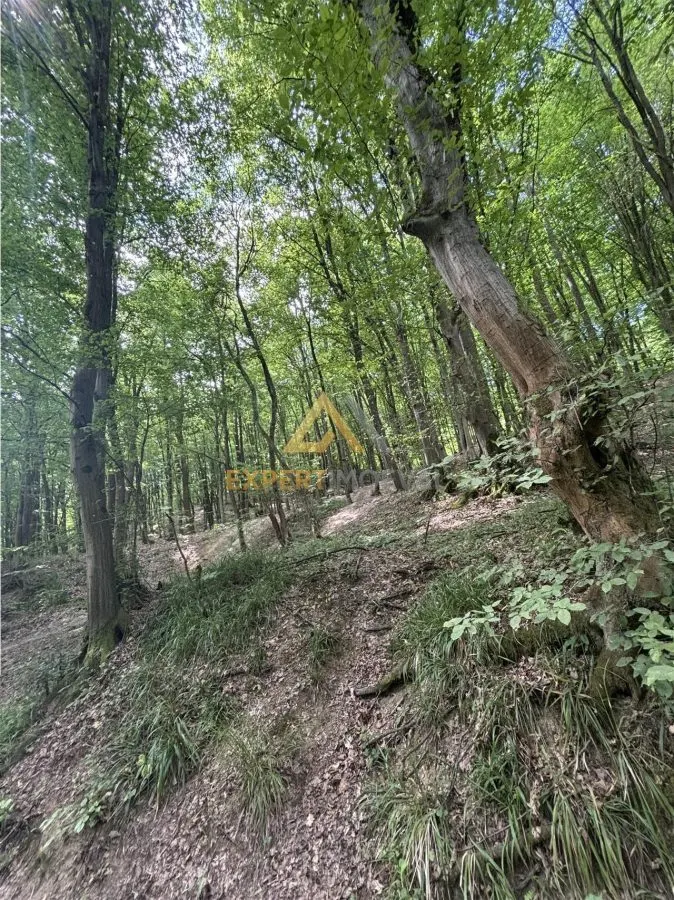 Teren intravilan pentru dezvoltare turistica - foto 1