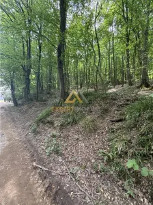Teren intravilan pentru dezvoltare turistica - foto 2