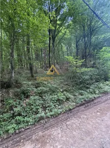 Teren intravilan pentru dezvoltare turistica - foto 3