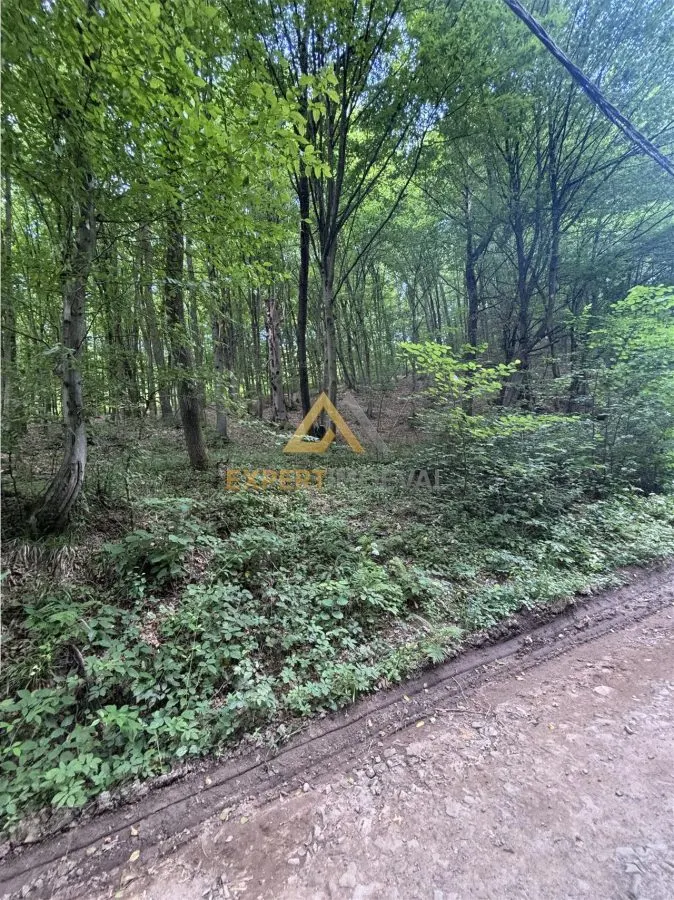Teren intravilan pentru dezvoltare turistica - foto 3