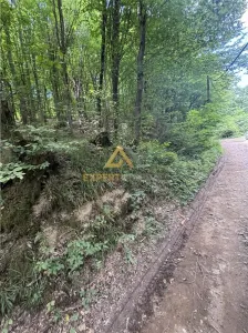 Teren intravilan pentru dezvoltare turistica - foto 5