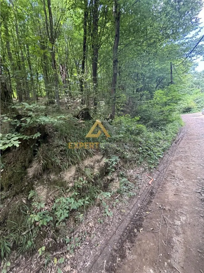 Teren intravilan pentru dezvoltare turistica - foto 5