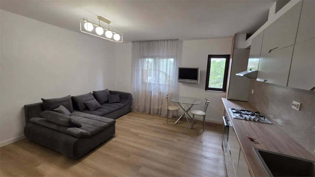Apartament 1 camera , lux , Gara - Silvestru - foto 1