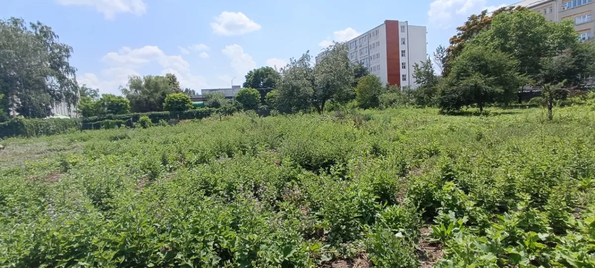 Teren intravilan 2.738 mp | P+4E | CUT 2,5 | Zona Universitatea Petrol-Gaze â€“ Ploiesti - foto 2