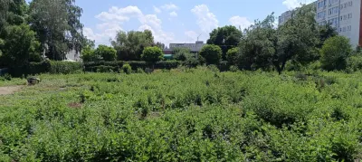 Teren intravilan 2.738 mp | P+4E | CUT 2,5 | Zona Universitatea Petrol-Gaze â€“ Ploiesti - foto 13