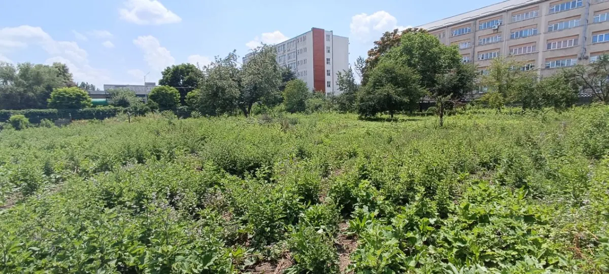 Teren intravilan 2.738 mp | P+4E | CUT 2,5 | Zona Universitatea Petrol-Gaze â€“ Ploiesti - foto 4