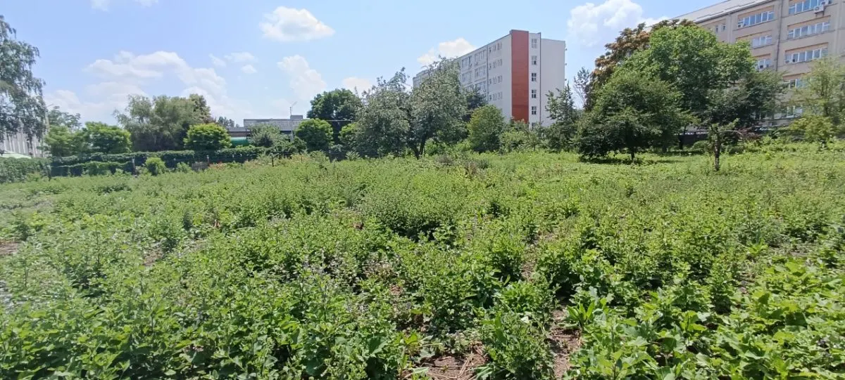Teren intravilan 2.738 mp | P+4E | CUT 2,5 | Zona Universitatea Petrol-Gaze â€“ Ploiesti - foto 5