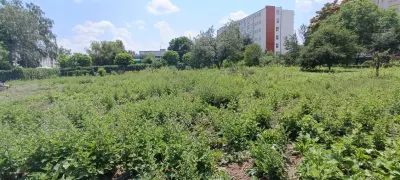 Teren intravilan 2.738 mp | P+4E | CUT 2,5 | Zona Universitatea Petrol-Gaze â€“ Ploiesti - foto 6