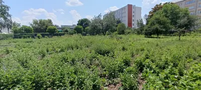 Teren intravilan 2.738 mp | P+4E | CUT 2,5 | Zona Universitatea Petrol-Gaze â€“ Ploiesti - foto 7