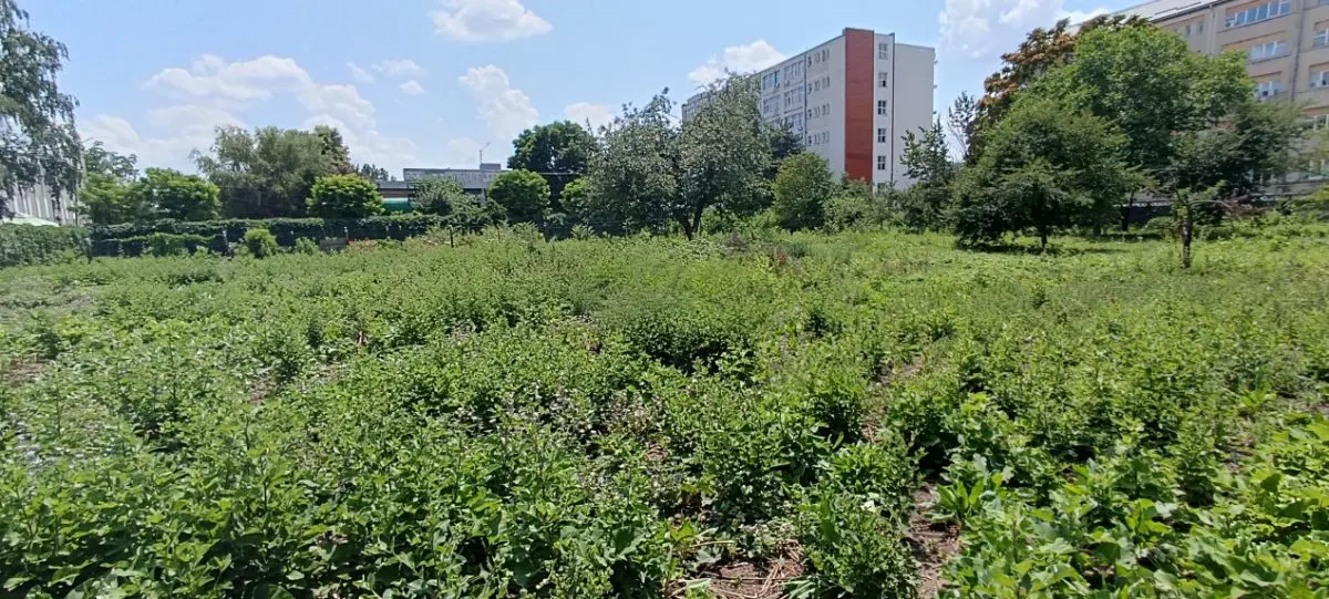 Teren intravilan 2.738 mp | P+4E | CUT 2,5 | Zona Universitatea Petrol-Gaze â€“ Ploiesti - foto 7