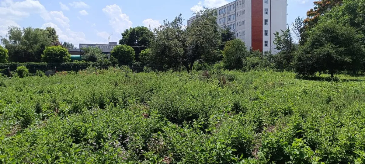 Teren intravilan 2.738 mp | P+4E | CUT 2,5 | Zona Universitatea Petrol-Gaze â€“ Ploiesti - foto 10