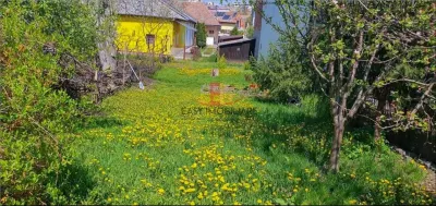 Casa 2 camere, UMF, CENTRAL, curte, renovat, Targu Mures - foto 7