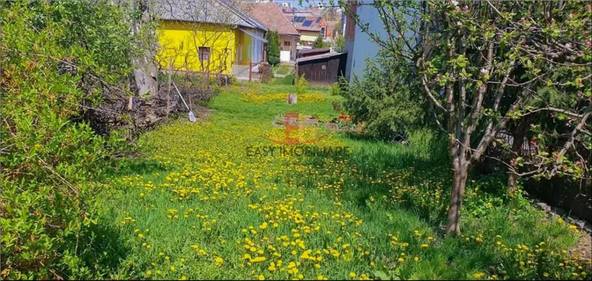 Casa 2 camere, UMF, CENTRAL, curte, renovat, Targu Mures - foto 7