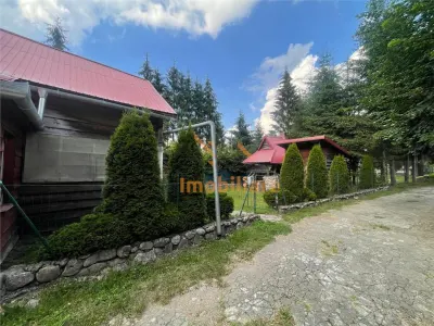 CASA DE VACANTA | 6 CAMERE | COADA LACULUI | BIHOR - foto 3