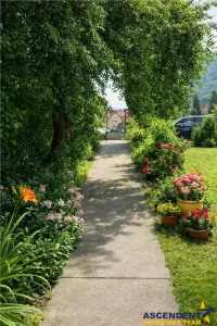 Vila Centru Istoric, Brasov: recomandata si pentru clinica/ centru educational - foto 3
