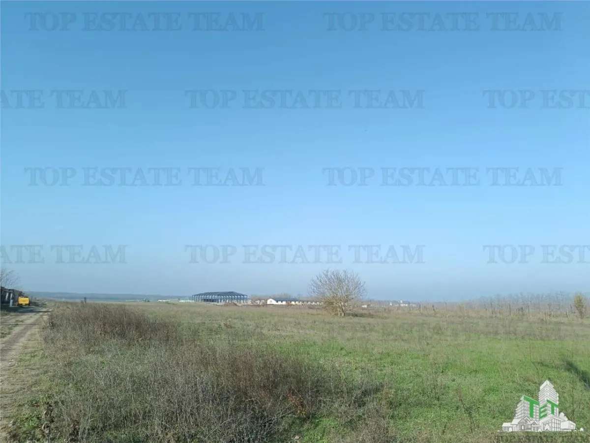 Teren intravilan la  DJ 101, in Gruiu, aproape de manastirea Caldarusani, ideal pt dezvoltatori imobiliari pt imobile cu regim de inaltime de S+P+2E! - foto 8