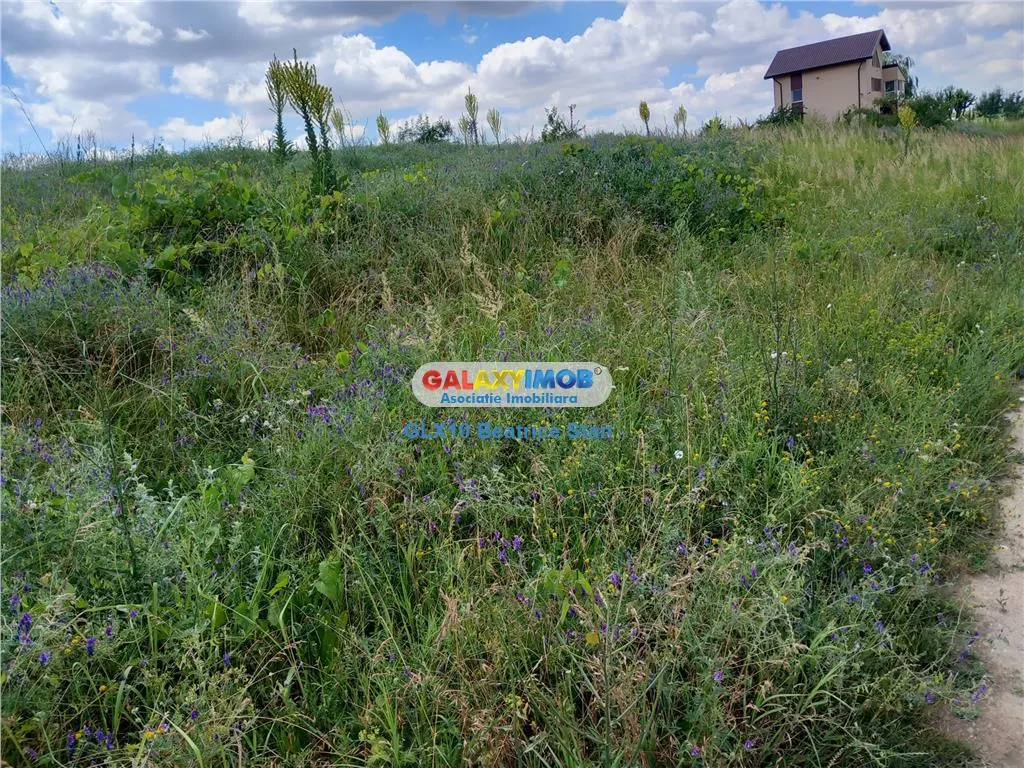 Vanzare loturi teren FUNDULEA / LACUL DARVARI cu mare potential - foto 14