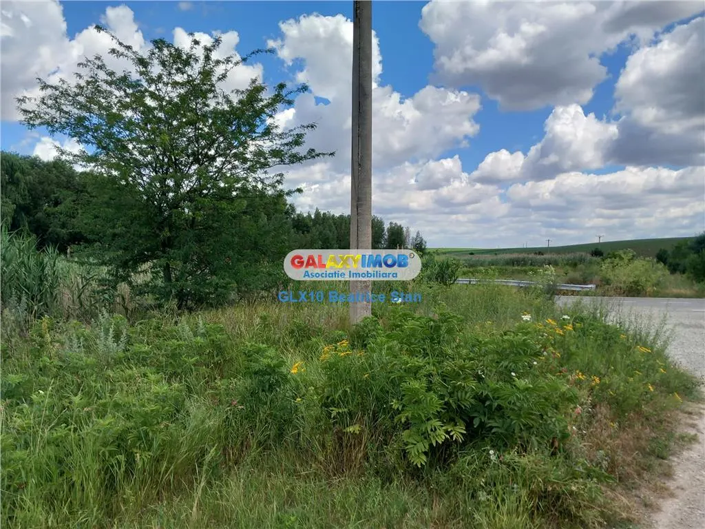 Vanzare loturi teren FUNDULEA / LACUL DARVARI cu mare potential - foto 4