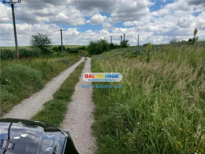 Vanzare loturi teren FUNDULEA / LACUL DARVARI cu mare potential - foto 8