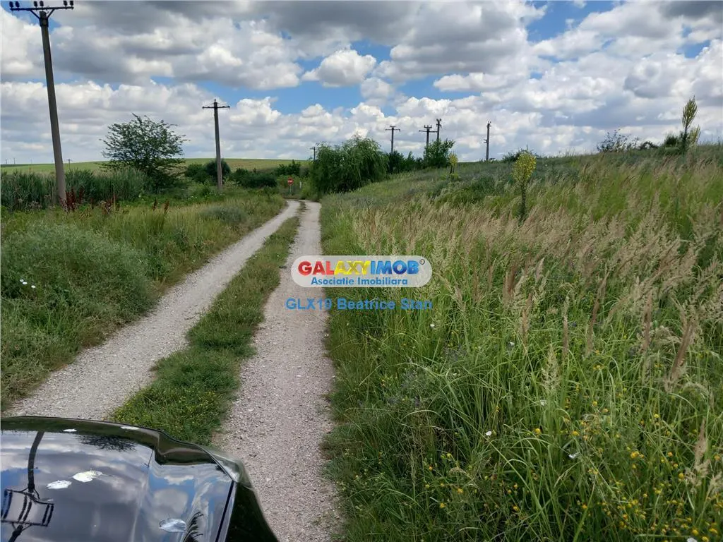 Vanzare loturi teren FUNDULEA / LACUL DARVARI cu mare potential - foto 8