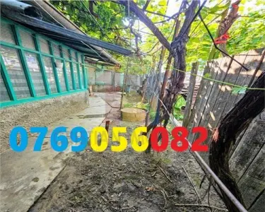 Casa batraneasca cu teren 246 mp, Radu Negru - Buzaului - Braila