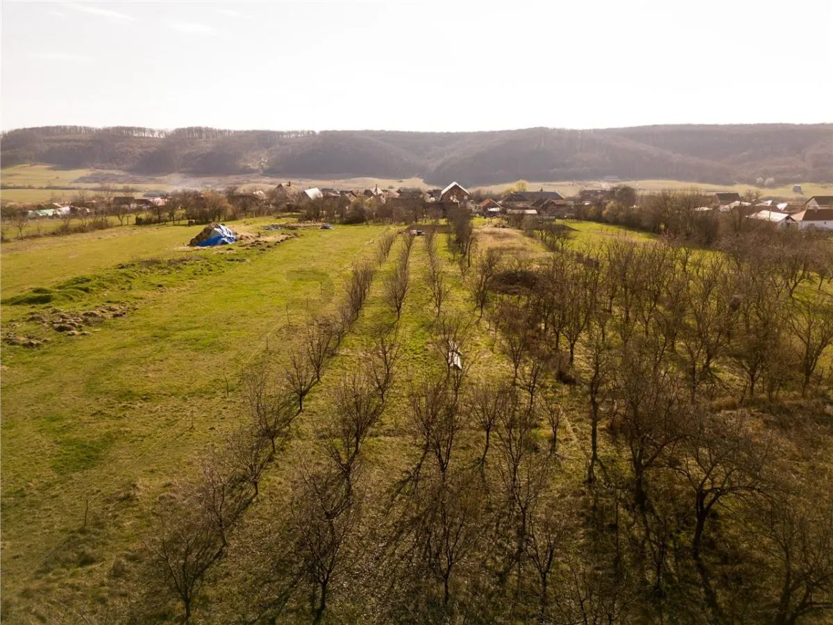 RECO Teren intravilan de vanzare in Betfia â€“ locatie linistita, ideal pentru constructie - foto 4