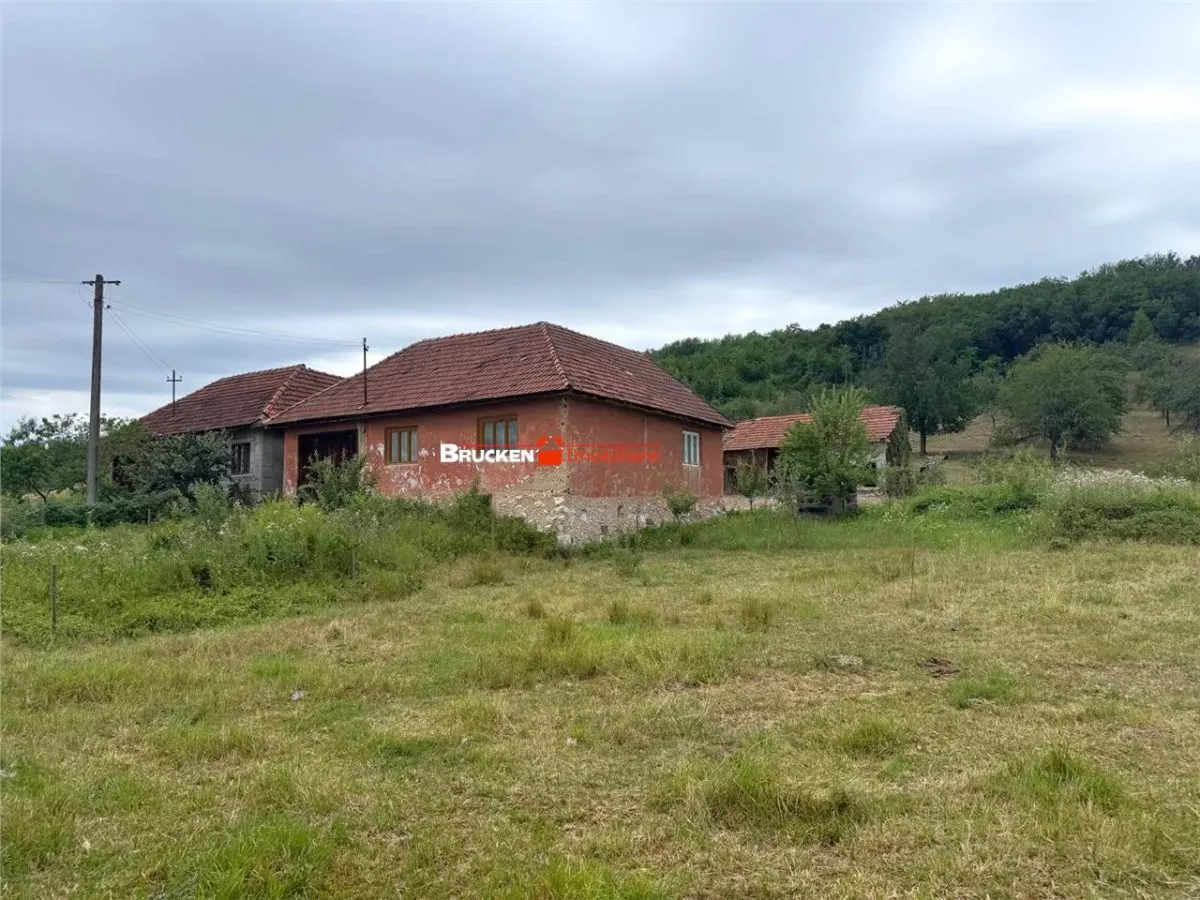Aproximativ4 ha teren | Casa batraneasca | Beiusele - Bihor - foto 1