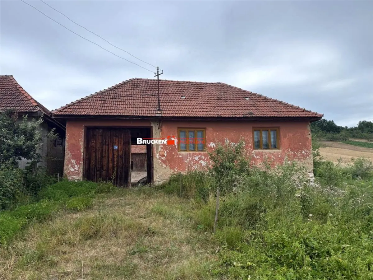 Aproximativ4 ha teren | Casa batraneasca | Beiusele - Bihor - foto 2