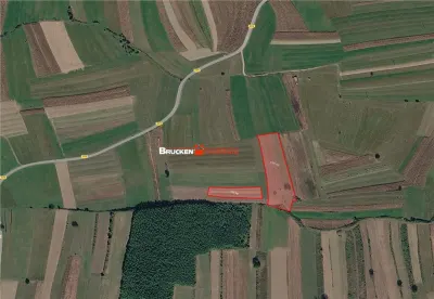 Aproximativ4 ha teren | Casa batraneasca | Beiusele - Bihor - foto 11