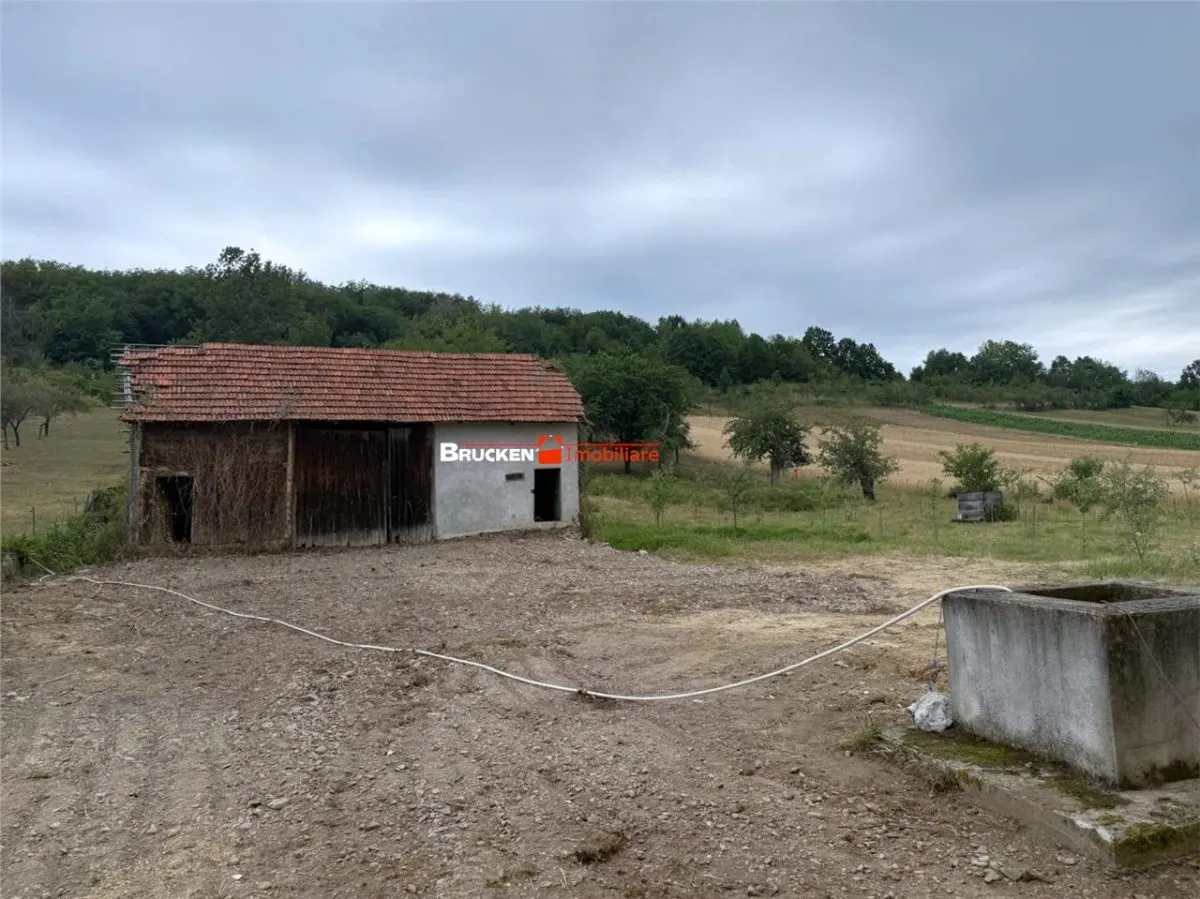 Aproximativ4 ha teren | Casa batraneasca | Beiusele - Bihor - foto 3