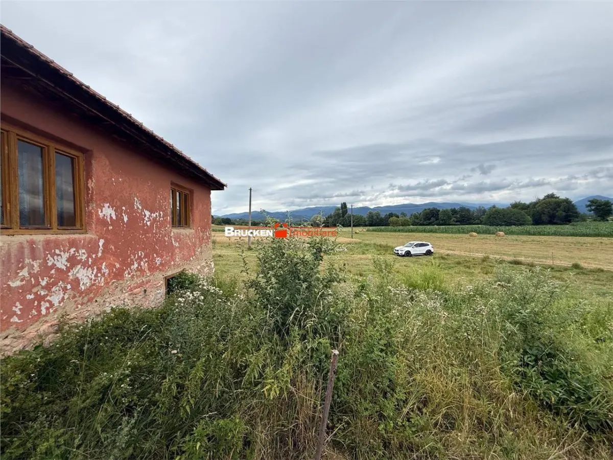 Aproximativ4 ha teren | Casa batraneasca | Beiusele - Bihor - foto 5