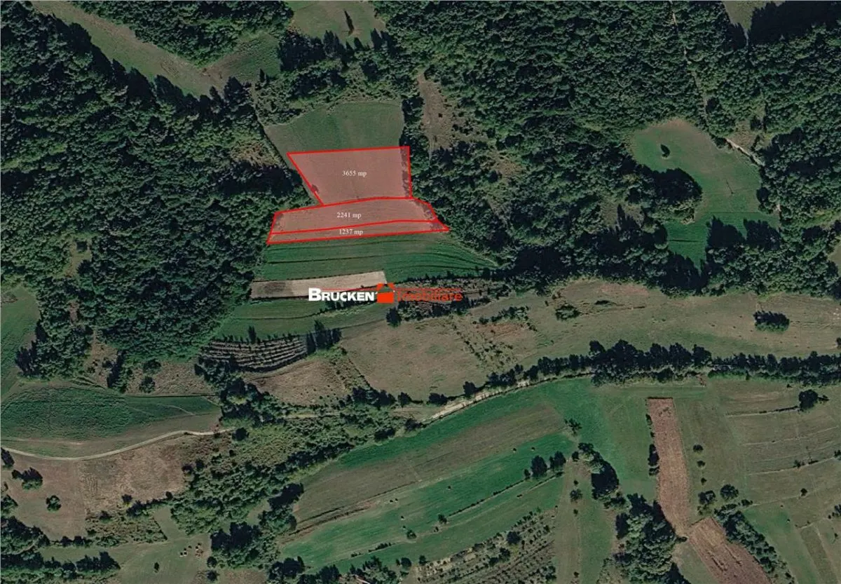 Aproximativ4 ha teren | Casa batraneasca | Beiusele - Bihor - foto 10