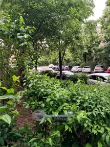 Apartament 2 camere D ,60MP, CUG - Biserica Inaltarea Maicii Domnului - foto 12