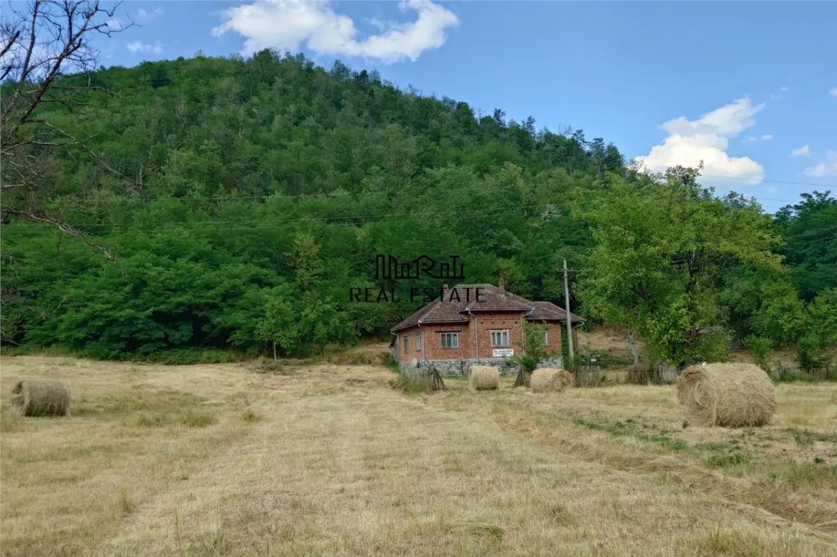 Teren, padure si casa in Dumbrava de Jos, jud. Hunedoara - foto 13