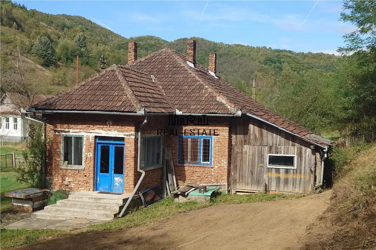 Teren, padure si casa in Dumbrava de Jos, jud. Hunedoara - foto 15